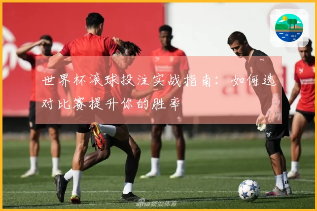 世界杯滚球投注实战指南：如何选对比赛提升你的胜率