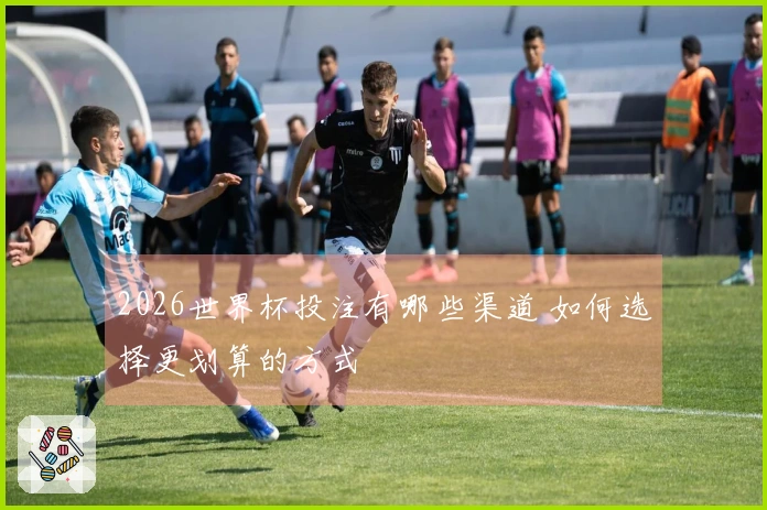2026世界杯投注有哪些渠道 如何选择更划算的方式