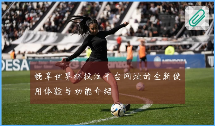 畅享世界杯投注平台网址的全新使用体验与功能介绍