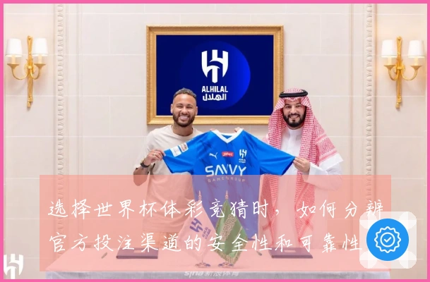 选择世界杯体彩竞猜时，如何分辨官方投注渠道的安全性和可靠性