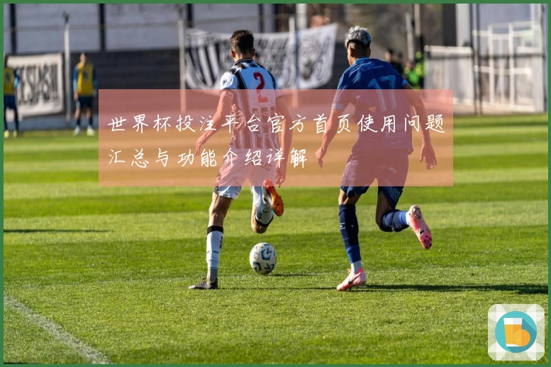 世界杯投注平台官方首页使用问题汇总与功能介绍详解