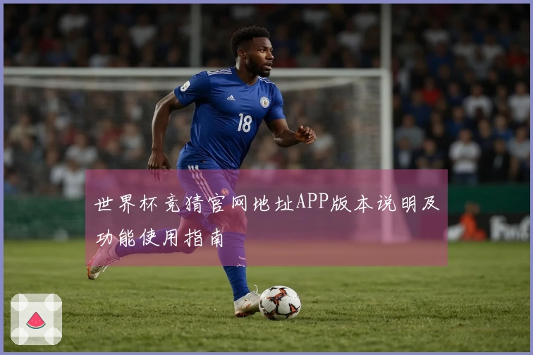 世界杯竞猜官网地址APP版本说明及功能使用指南