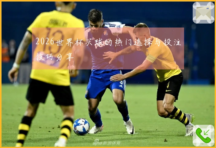 2026世界杯买球的热门选择与投注技巧分享
