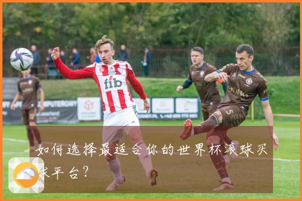如何选择最适合你的世界杯滚球买球平台？