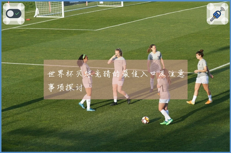 世界杯买球竞猜的最佳入口及注意事项探讨