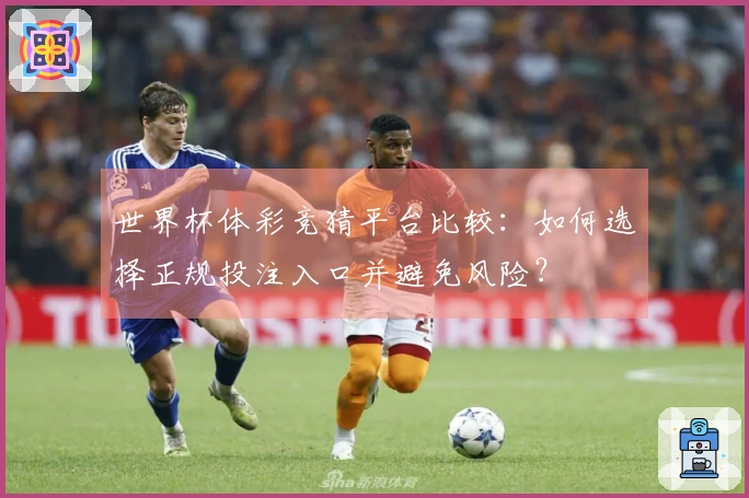世界杯体彩竞猜平台比较：如何选择正规投注入口并避免风险？