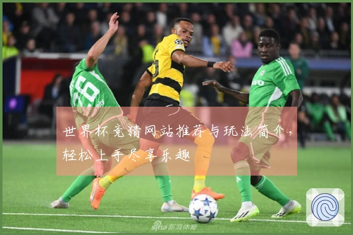世界杯竞猜网站推荐与玩法简介，轻松上手尽享乐趣