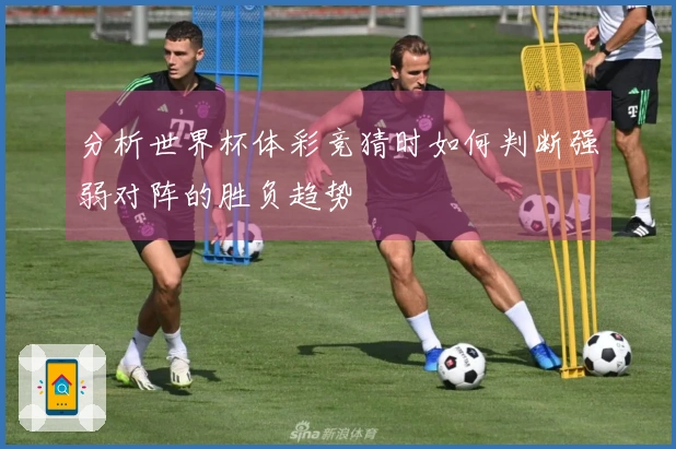 分析世界杯体彩竞猜时如何判断强弱对阵的胜负趋势