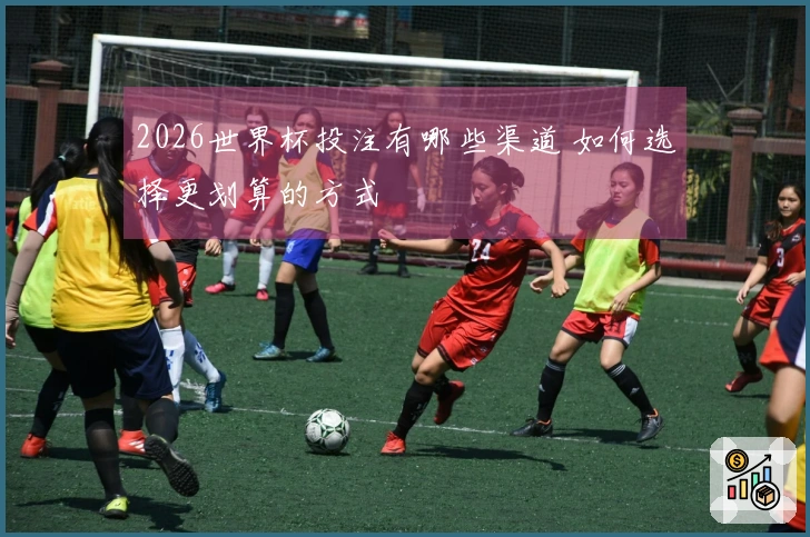 2026世界杯投注有哪些渠道 如何选择更划算的方式