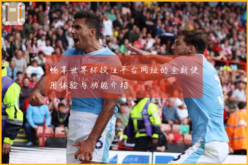 畅享世界杯投注平台网址的全新使用体验与功能介绍