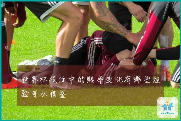 世界杯投注中的赔率变化有哪些经验可以借鉴