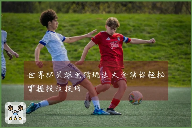 世界杯买球竞猜玩法大全助你轻松掌握投注技巧