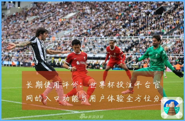 长期使用评价：世界杯投注平台官网的入口功能与用户体验全方位分析