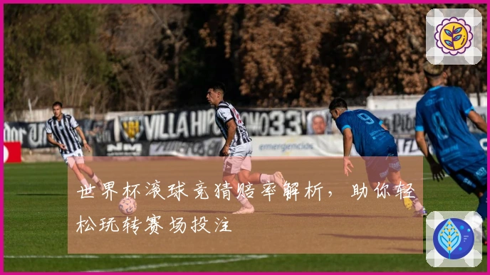 世界杯滚球竞猜赔率解析，助你轻松玩转赛场投注