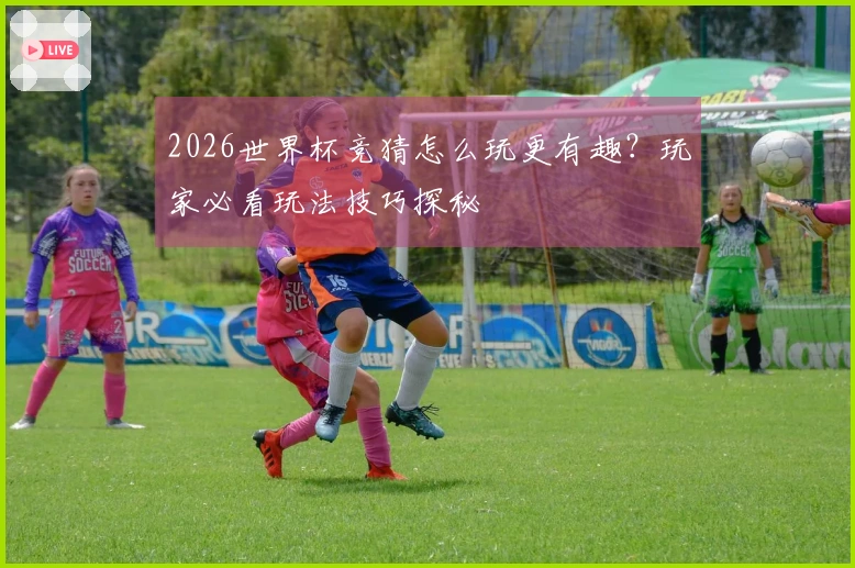 2026世界杯竞猜怎么玩更有趣？玩家必看玩法技巧探秘