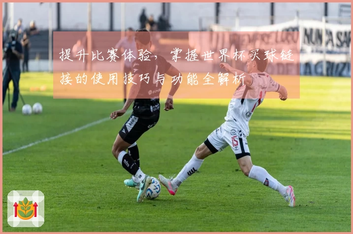 提升比赛体验，掌握世界杯买球链接的使用技巧与功能全解析