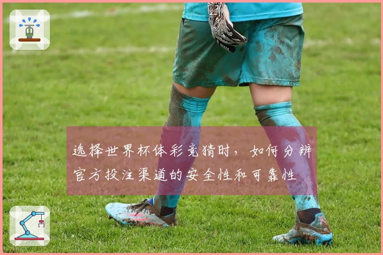 选择世界杯体彩竞猜时，如何分辨官方投注渠道的安全性和可靠性