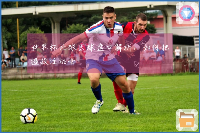 世界杯让球买球盘口解析，如何把握投注机会