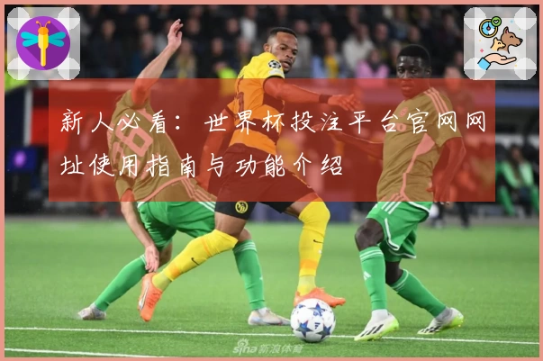 新人必看：世界杯投注平台官网网址使用指南与功能介绍