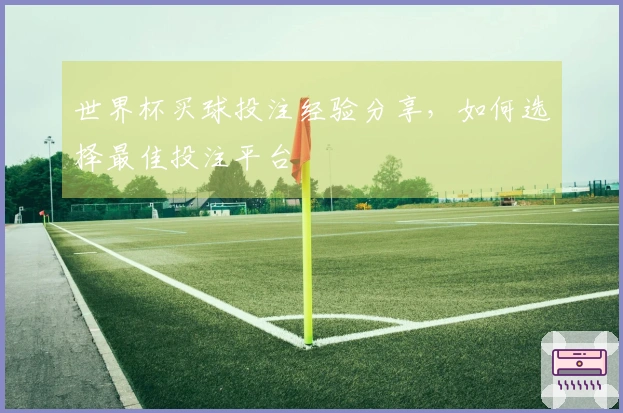 世界杯买球投注经验分享，如何选择最佳投注平台