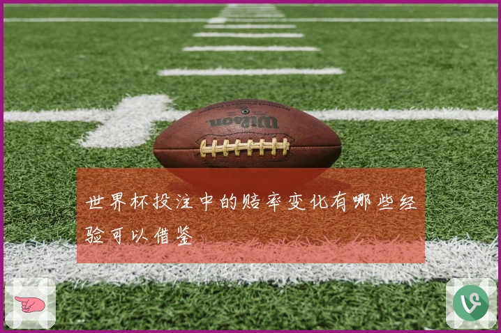 世界杯投注中的赔率变化有哪些经验可以借鉴
